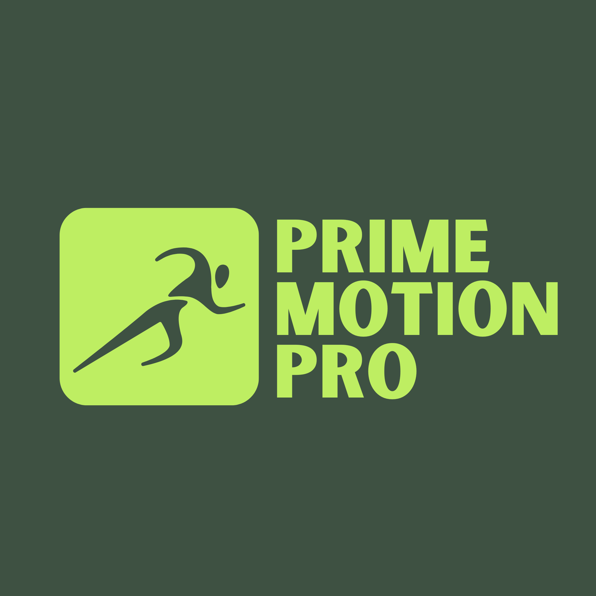 PrimeMotionPro